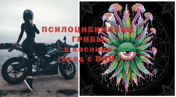 PSILOCYBIN Аркадак