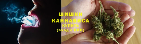 PSILOCYBIN Аркадак