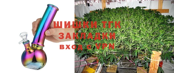 PSILOCYBIN Аркадак