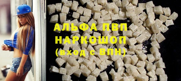 PSILOCYBIN Аркадак