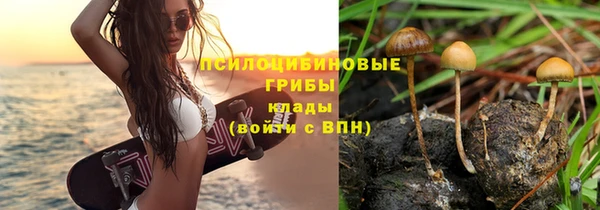 метамфетамин Армянск